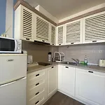 Panorama Bay 20 Fancy *