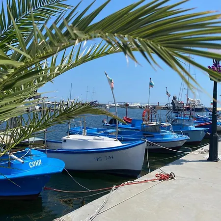 Panorama Bay 20 Fancy * スヴェティ・ヴラス