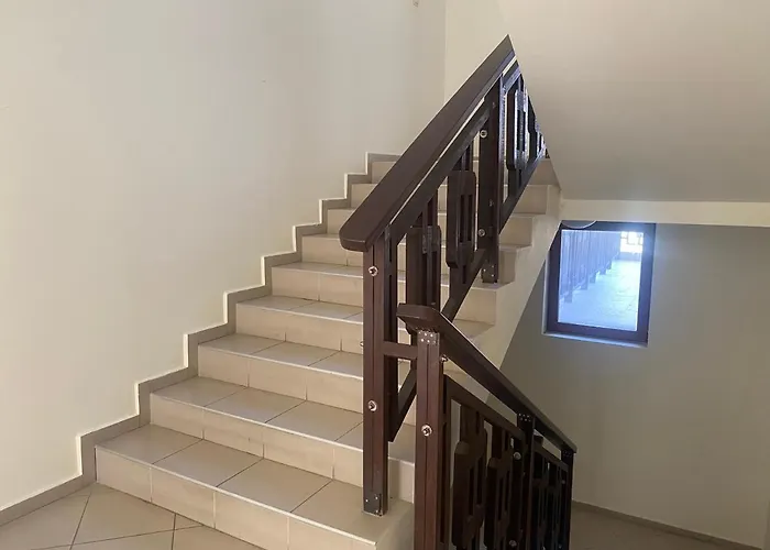 Panorama Bay 20 Fancy